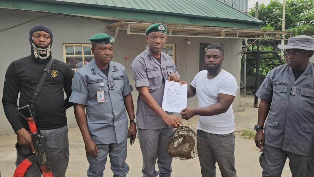 Wildlife Trafficking: FOU A Customs Intercepts Four Live Pangolins Along Ajilete Creeks