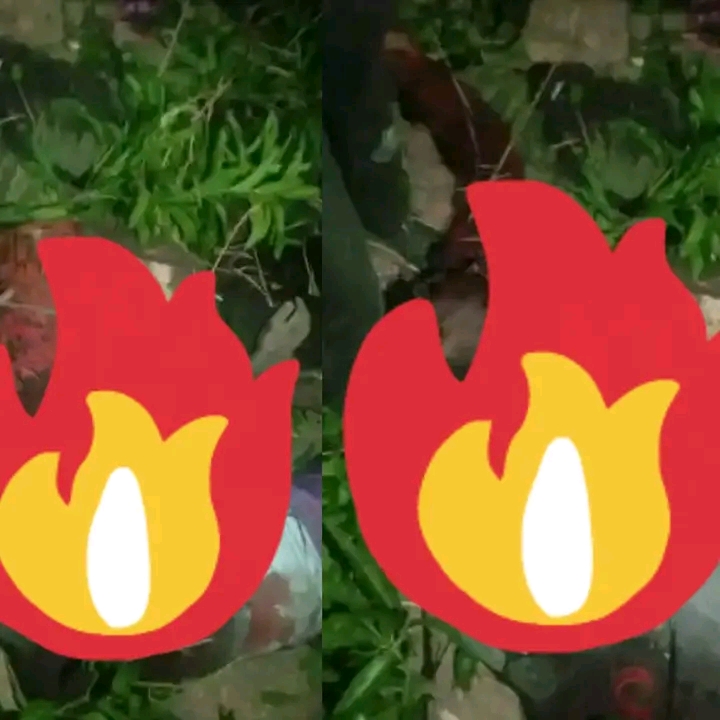 ‘Yan bindiga sun kashe masu hakar ma’adinai 3 a kauyen Gero, Filato, dake karamar Hukumar jos ta kudu.