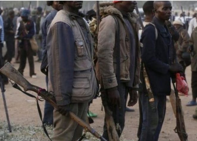 Vigilante Member Shoots Colleague Dead In Plateau